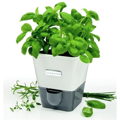 JARDINIÈRE EN POT JARDINIÈRE EN POT
